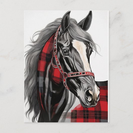 Carte Postale Cheval rouge et noir à plaid (Devant)