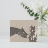 Carte Postale Cheval rustique (Debout devant)