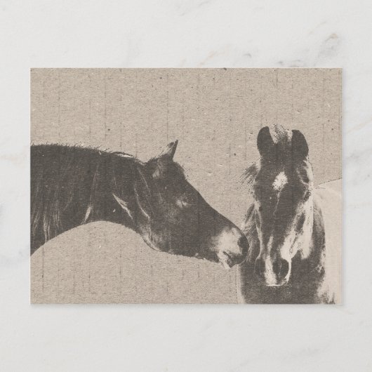 Carte Postale Cheval rustique (Devant)