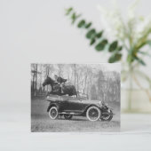 Carte Postale Cheval Sauter sur l'automobile, 1923 (Debout devant)