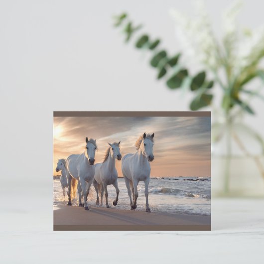 Carte postale Cheval sauvage