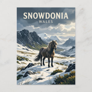 Carte Postale Cheval sauvage dans Snowdonia Royaume-Uni