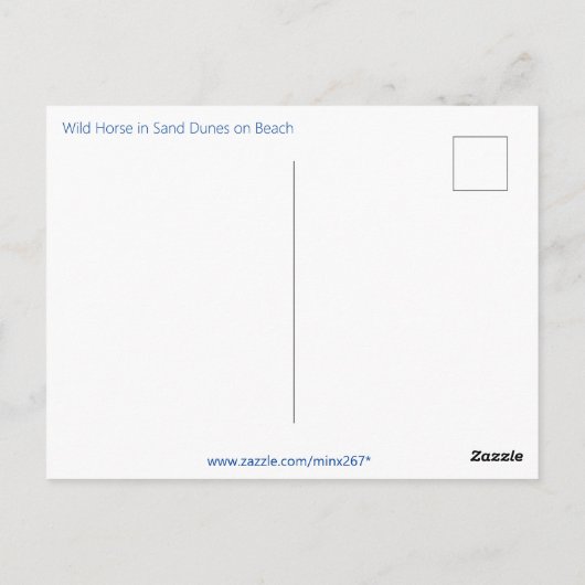 Carte Postale Cheval sauvage sur dune herbeuse au coucher du sol (Dos)