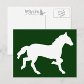 Carte Postale cheval simple (Devant / Derrière)