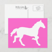 Carte Postale cheval simple (Devant / Derrière)