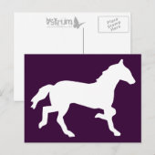 Carte Postale cheval simple (Devant / Derrière)