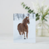 Carte Postale Cheval simple courant dans la neige (Debout devant)