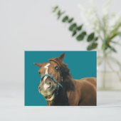 Carte Postale Cheval souriant (Debout devant)