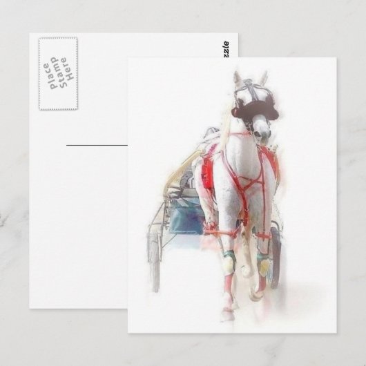 Carte Postale Cheval standard (Devant / Derrière)