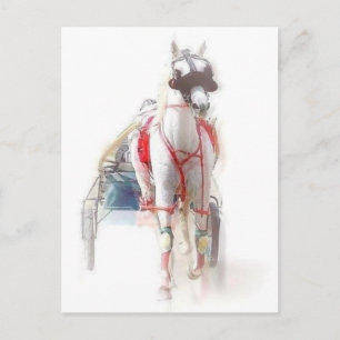 Carte Postale Cheval standard