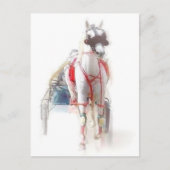 Carte Postale Cheval standard (Devant)