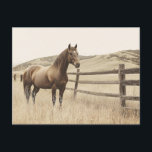 Carte Postale Cheval sur le Range Sepia Vintage<br><div class="desc">Illustration sépia vintage d'un cheval qui se promène librement sur le parcours,  capturant l'esprit des plaines sauvages et ouvertes. Les tons doux et défraîchi et le paysage tourmenté évoquent une atmosphère occidentale classique et intemporelle,  idéale pour tous ceux qui aiment l'art animal rustique et historique.</div>