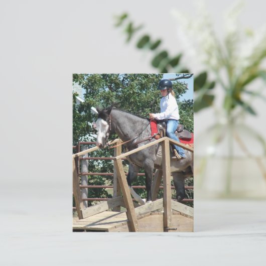 Carte Postale Cheval sur un Pont Trail Classe Comté Fair (Debout devant)