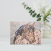 Carte Postale Cheval tacheté esprit sauvage (Debout devant)