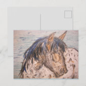 Carte Postale Cheval tacheté esprit sauvage (Devant / Derrière)