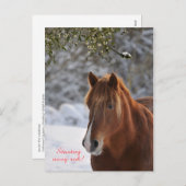 Carte postale Cheval Tchèque Nouvel An (Devant / Derrière)