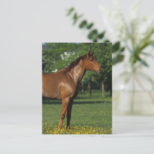 Carte Postale Cheval Thoroughbred en Fleurs (Debout devant)