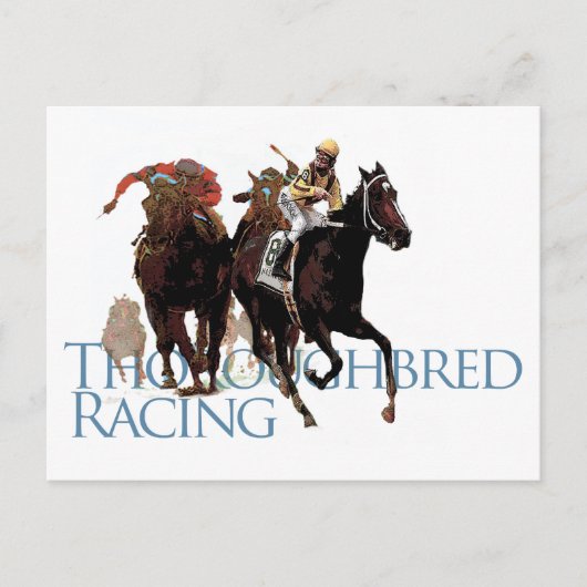 Carte Postale Cheval Thoroughbred Racing Cadeaux (Devant)