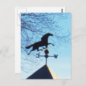 Carte Postale Cheval Vane Météo Ciel Bleu (Devant / Derrière)