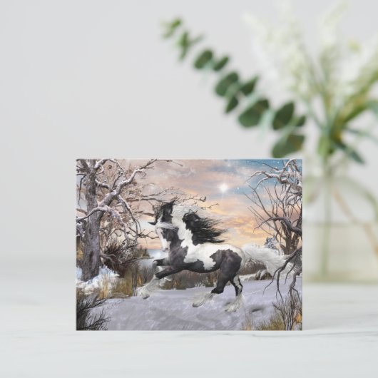 Carte postale Cheval Vanner Gypsy (Debout devant)