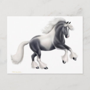 Carte postale Cheval Vanner Gypsy
