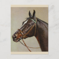 Carte postale Cheval vintage