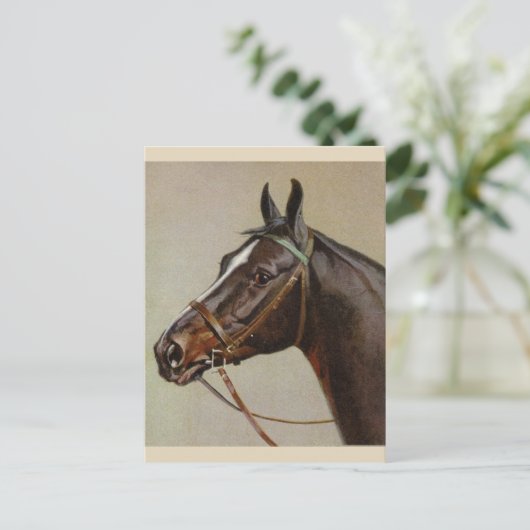 Carte postale Cheval vintage (Debout devant)