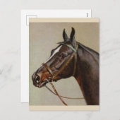 Carte postale Cheval vintage (Devant / Derrière)