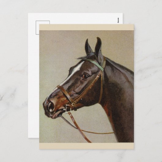 Carte postale Cheval vintage (Devant / Derrière)