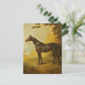 Carte Postale Cheval vintage Thoroughbred (Debout devant)