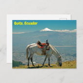 Carte Postale Cheval & volcan, Quito, Equateur (Devant / Derrière)