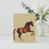 Carte Postale Cheval Whistlejacket par George Stubbs (Debout devant)