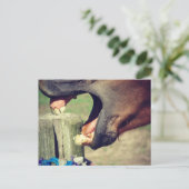 Carte Postale Cheval Yawn (Debout devant)