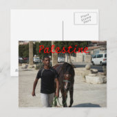 Carte Postale Chevalier palestinien (Devant / Derrière)