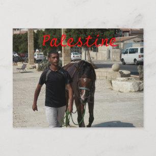 Carte Postale Chevalier palestinien
