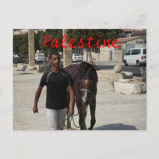 Carte Postale Chevalier palestinien (Devant)
