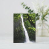 Carte postale ChevalTail Falls (Debout devant)
