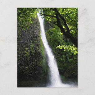 Carte postale ChevalTail Falls