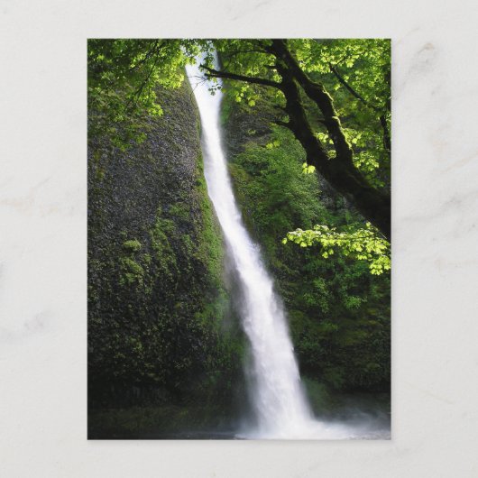 Carte postale ChevalTail Falls (Devant)