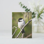 Carte Postale Chevauchée noire (Debout devant)