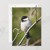 Carte Postale Chevauchée noire (Devant / Derrière)