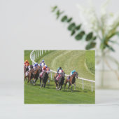 Carte Postale Chevaux (Debout devant)