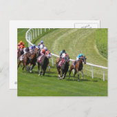 Carte Postale Chevaux (Devant / Derrière)