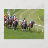 Carte Postale Chevaux (Devant)