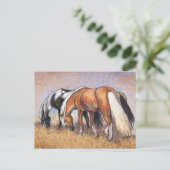 Carte Postale Chevaux (Debout devant)