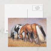 Carte Postale Chevaux (Devant / Derrière)