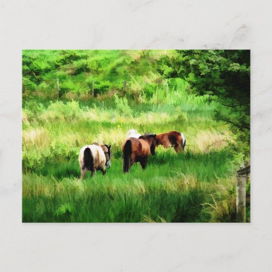 CARTE POSTALE CHEVAUX (Devant)
