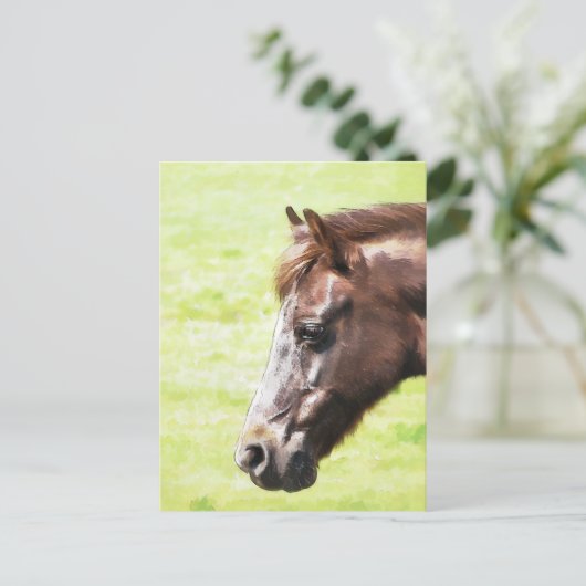 CARTE POSTALE CHEVAUX (Debout devant)