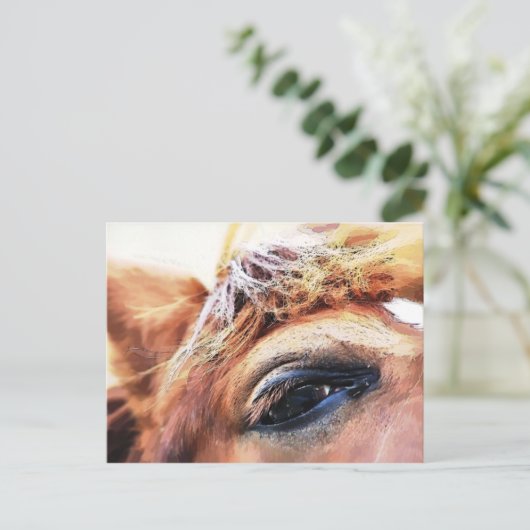 CARTE POSTALE CHEVAUX (Debout devant)