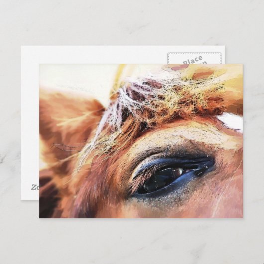 CARTE POSTALE CHEVAUX (Devant / Derrière)